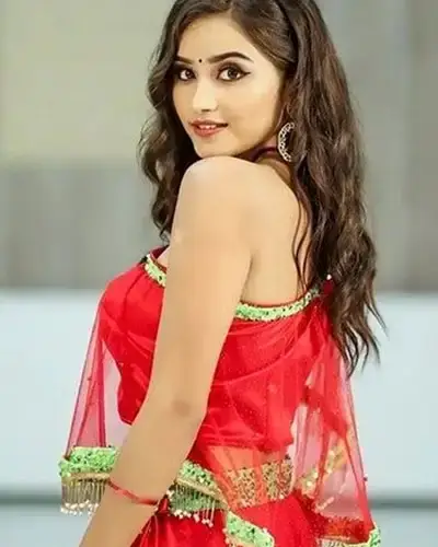 Call Girls Service Mangrol